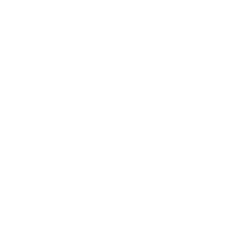 Fast3Dprint
